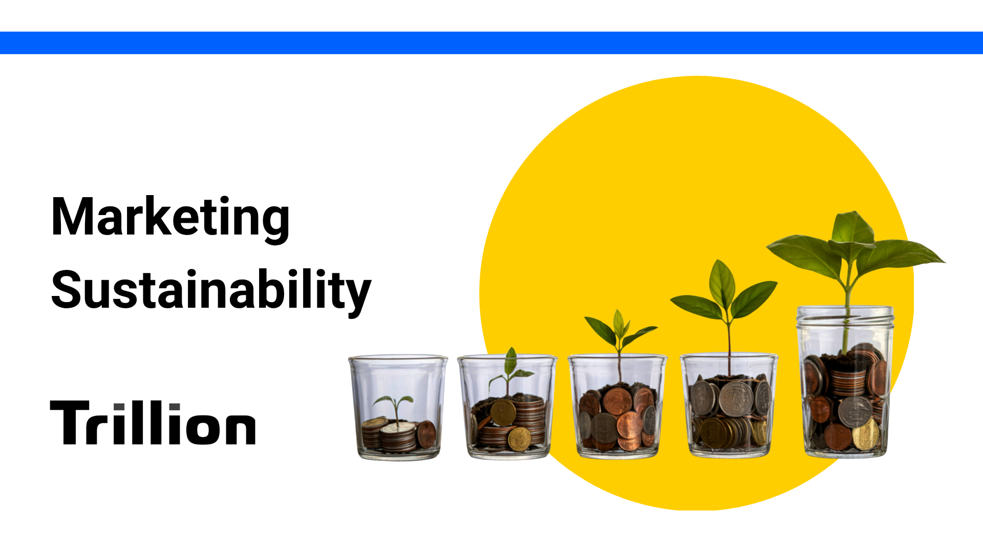 series of seeds growing in glass containers